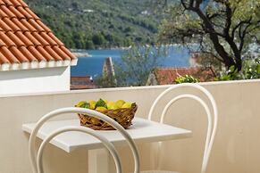 Apartments Cvita