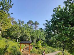Swaasha Vista