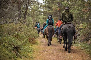 Fjelleventyret