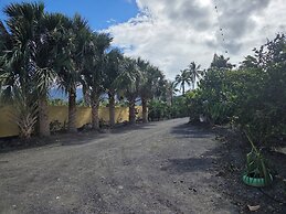 Finca verde