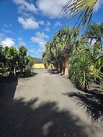 Finca verde