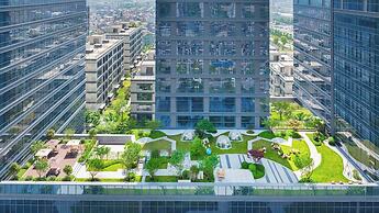 MAISON NEW CENTURY