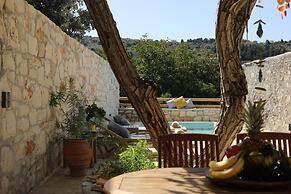 Ontas by Praxithea Traditional Home