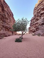 Wadi Rum Legacy Camp
