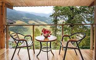 Longji Aplo Leisure B&B