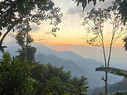 Bliss In Viya Ella