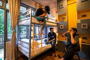 PACK McLeodganj