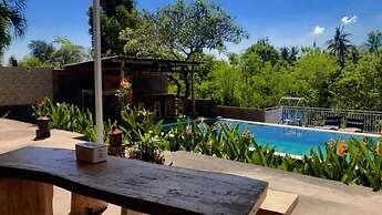 Eco Moringa Garden