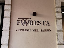 B & B Foresta Vini