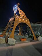 B & B Foresta Vini
