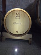B & B Foresta Vini