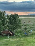 Selid Farm Stay