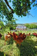 Agroturizem Dr Bizhga