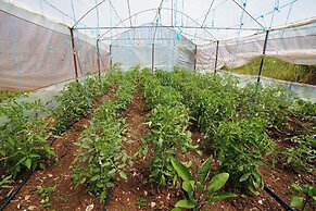 Agroturizem Dr Bizhga