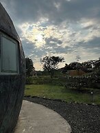 Animal Glamping