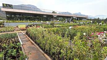 7 Tree Resort & Restaurant