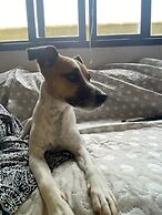 Lakeview Chalet 1 , Därligen