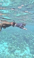 Gibran Dive Guest House