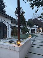Art Sattal