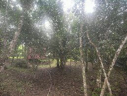 Chalet 1 Airenaturaa