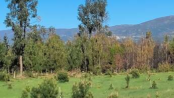 Eco-Bungalow Vista Serra da Estrela