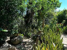 La Casa del Arbol Barichara