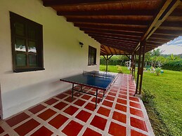 Jardines del cafe entre nubes