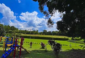 Jardines del cafe entre nubes