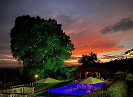 Jardines del cafe entre nubes