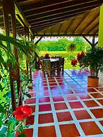 Jardines del cafe entre nubes
