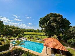 Jardines del cafe entre nubes