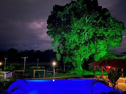 Jardines del cafe entre nubes