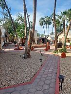 Sandy Shores
