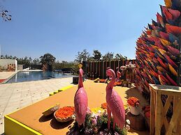Bindiga Peak Resorts
