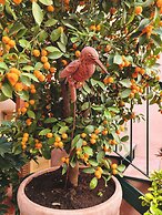 Colosseo Garden Lodge