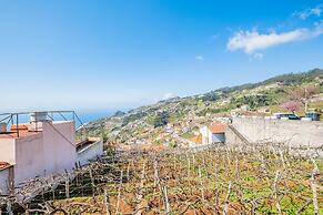 Villa Vineyard by Homie