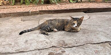 Villa Guesthouse Bangkok