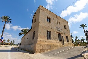 Historical Palms by Fidalsa