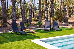 Historical Palms by Fidalsa