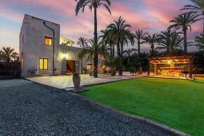 Historical Palms by Fidalsa