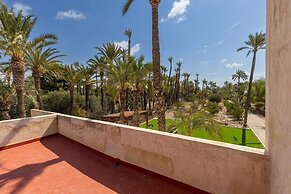 Historical Palms by Fidalsa
