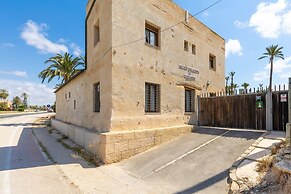 Historical Palms by Fidalsa
