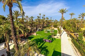 Historical Palms by Fidalsa