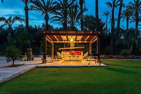 Historical Palms by Fidalsa