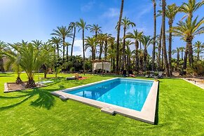 Historical Palms by Fidalsa