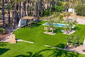 Historical Palms by Fidalsa