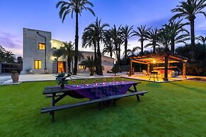 Historical Palms by Fidalsa