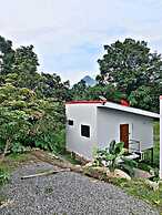 The Chicken House