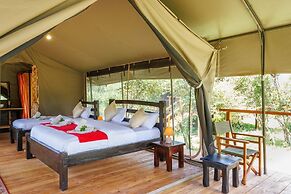 Aruba Mara Camp
