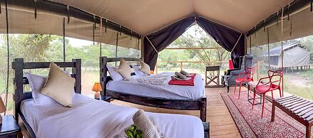 Aruba Mara Camp
